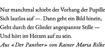 Nur manchmal schiebt der Vorhang der Pupille Sich lautlos auf —. Dann geht ein Bild hinein, Geht durch der Glieder an...